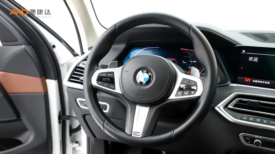 二手宝马X5 xDrive30i M运动套装图片3784684