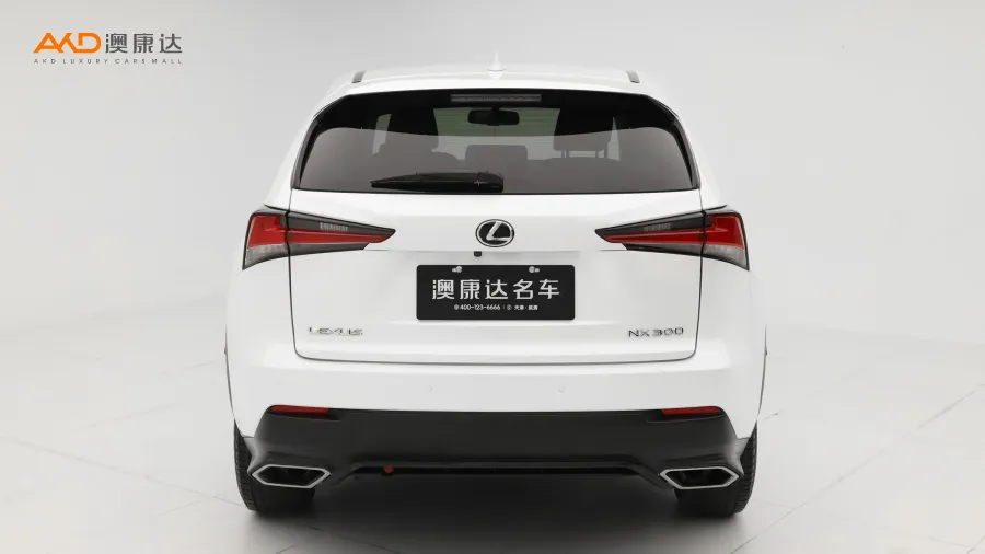 二手雷克萨斯NX300 前驱锋行版图片3785099