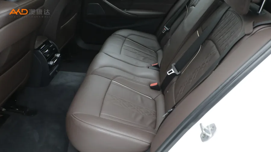 二手宝马530Li 改款 尊享型 豪华套装图片3785562