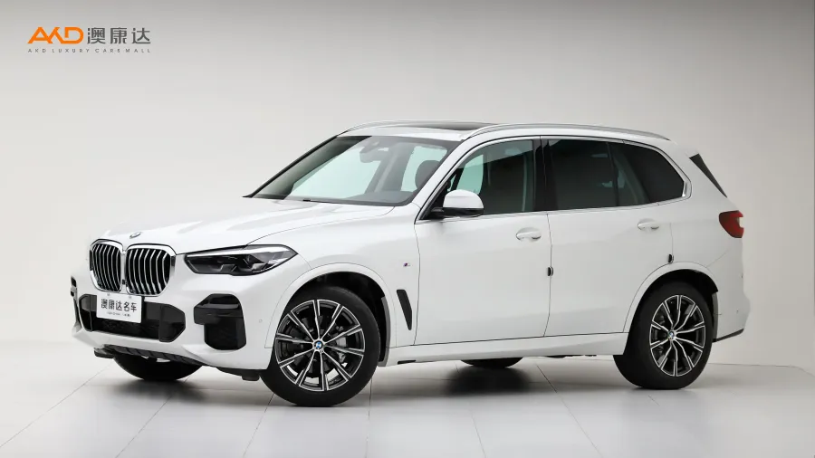 二手宝马X5 xDrive30i M运动套装图片