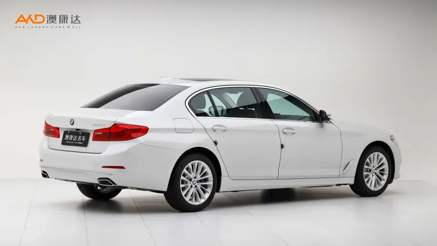 二手宝马530Li 领先型 豪华套装图片3783687