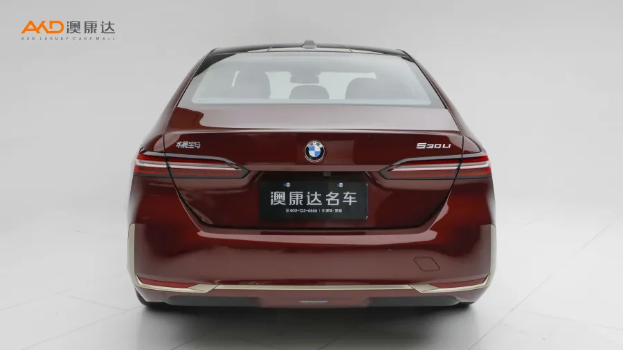 二手宝马530Li 尊享型豪华套装图片3784967