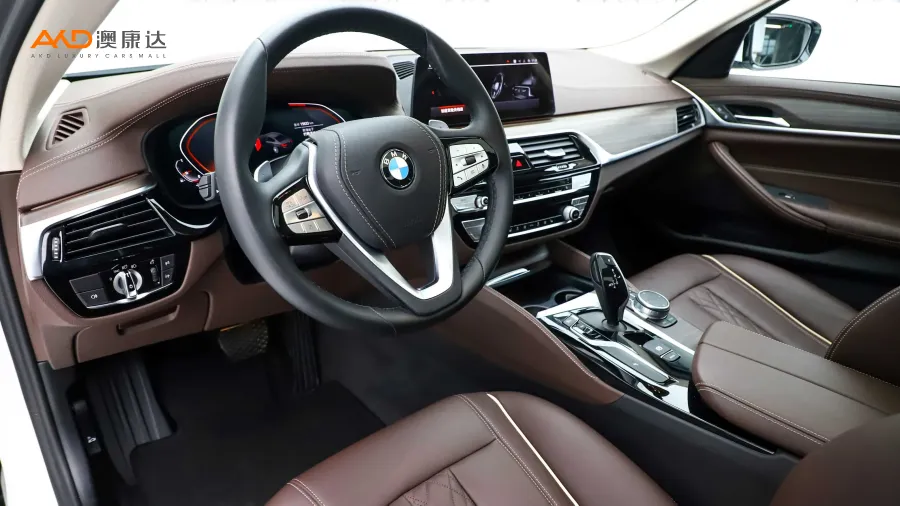 二手宝马530Li 领先型 豪华套装图片3783694