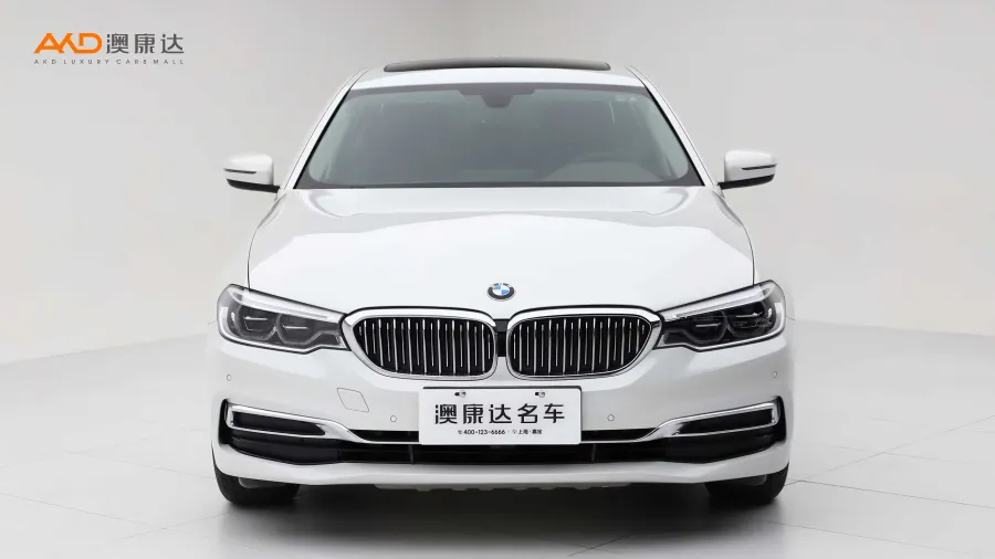 二手宝马530Li 领先型 豪华套装图片3783683