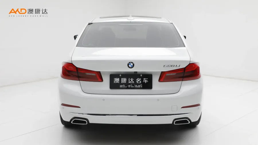 二手宝马530Li 改款 尊享型 豪华套装图片3785554