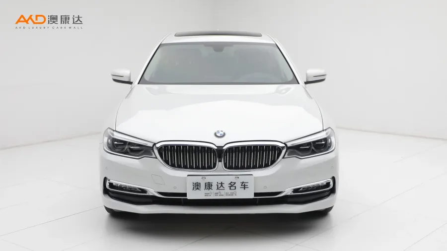 二手宝马530Li 改款 尊享型 豪华套装图片3785549