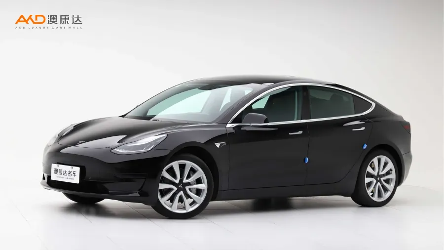 二手特斯拉Model 3 标准续航后轮驱动升级版图片