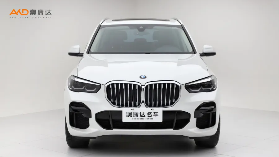 二手宝马X5 xDrive30i M运动套装图片3784666