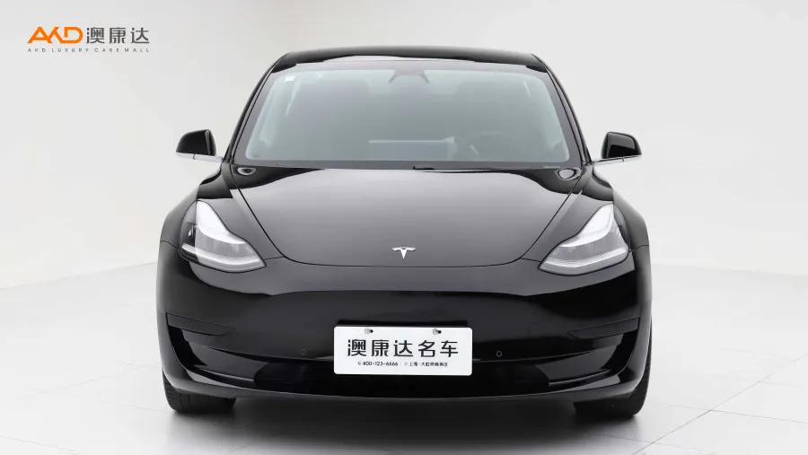 二手特斯拉Model 3 标准续航后轮驱动升级版图片3783772