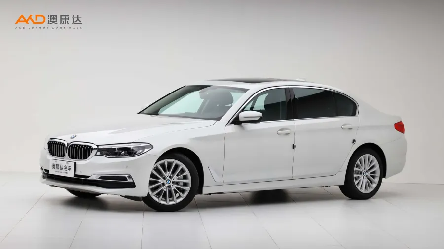 二手宝马530Li 领先型 豪华套装图片