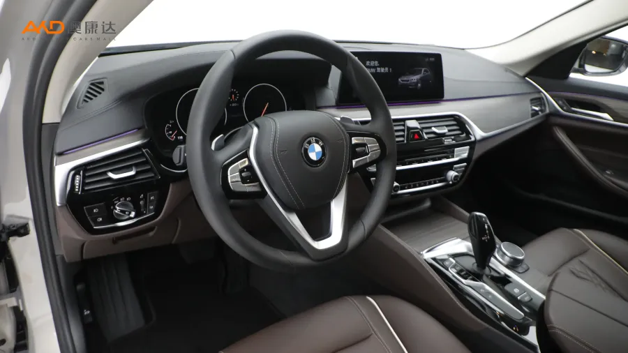 二手宝马530Li 领先型豪华套装图片3787503