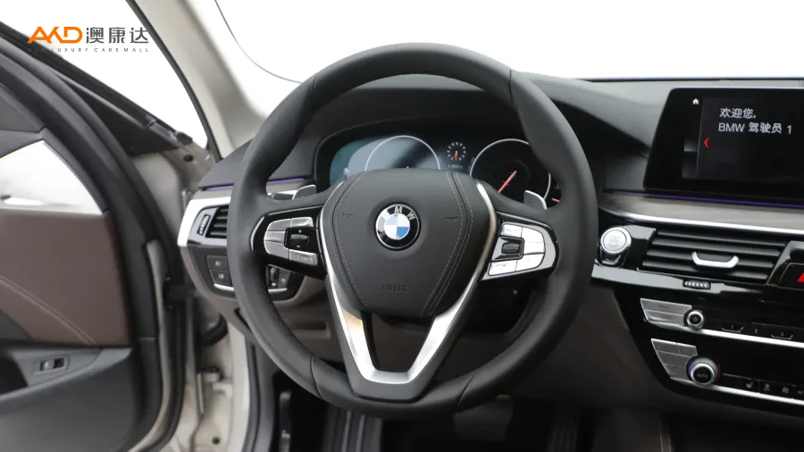 二手宝马530Li 领先型豪华套装图片3787507