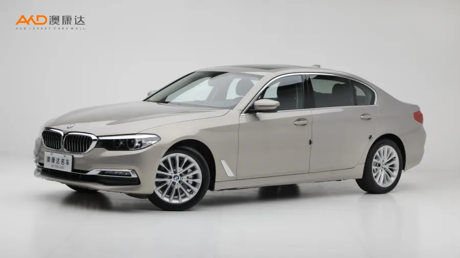 二手宝马530Li 领先型豪华套装图片