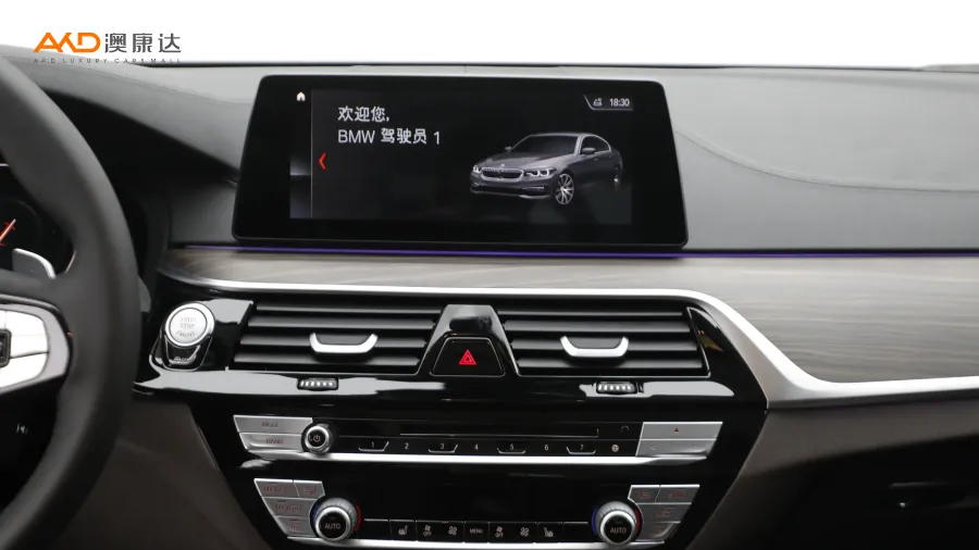 二手宝马530Li 领先型豪华套装图片3787508
