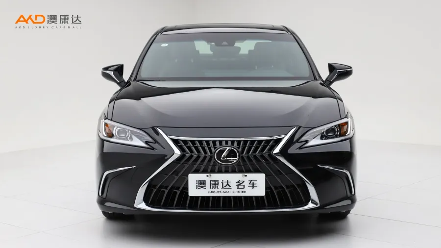 二手雷克萨斯ES300h  卓越版图片3790046