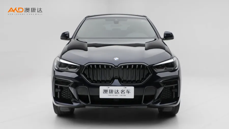 二手宝马X6 改款 xDrive30i M运动套装图片3790611