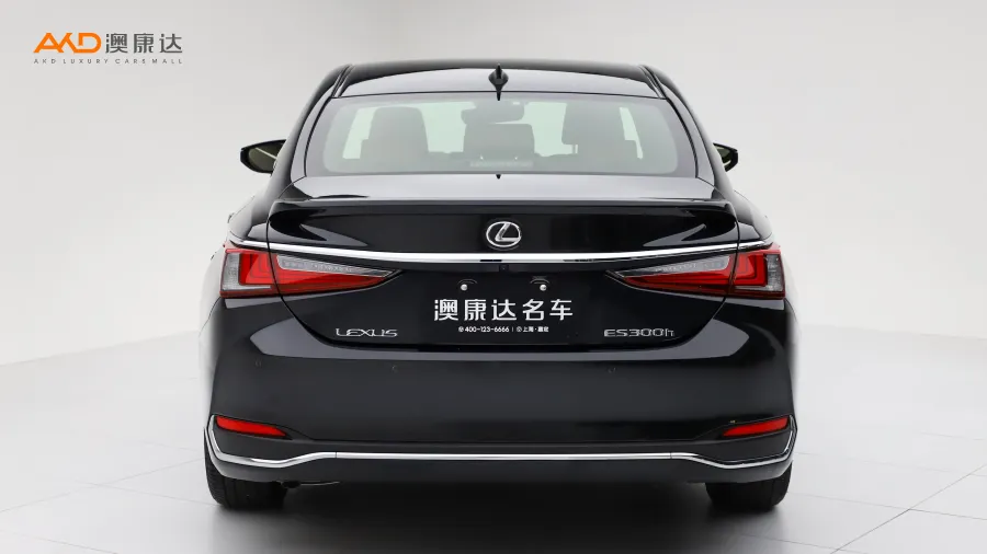 二手雷克萨斯ES300h  卓越版图片3790051