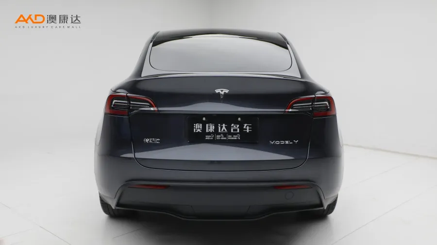 二手特斯拉Model Y 后轮驱动版图片3791230