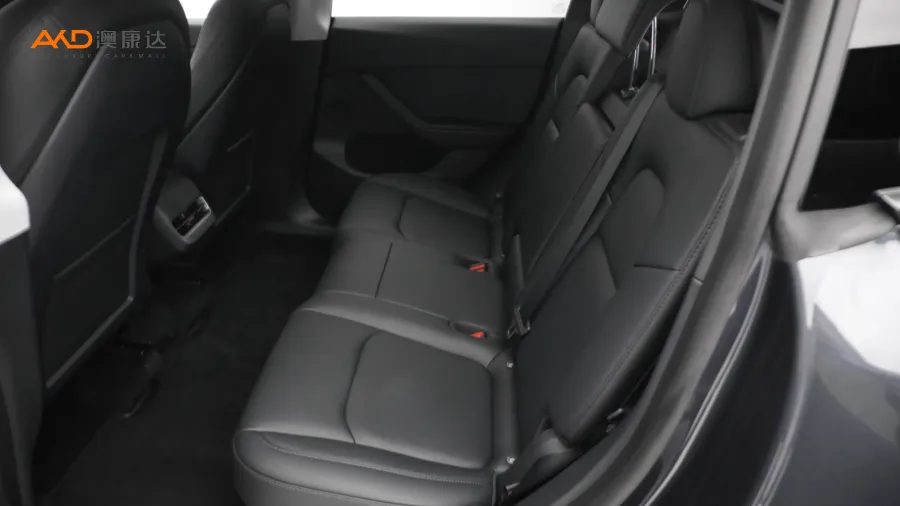 二手特斯拉Model Y 后轮驱动版图片3791246
