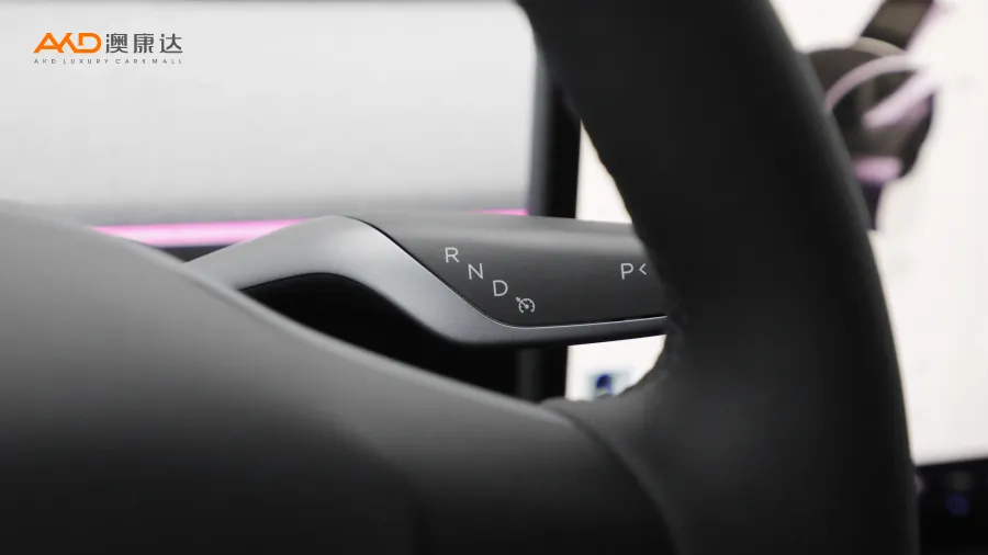 二手特斯拉Model Y 后轮驱动版图片3791236