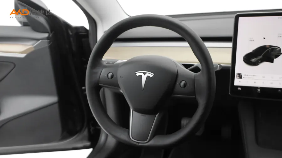 二手特斯拉Model 3 标准续航后驱升级版图片3793123
