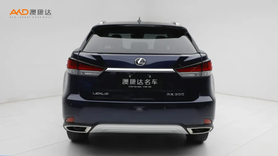 二手雷克萨斯RX300 改款 四驱典雅版图片3794840