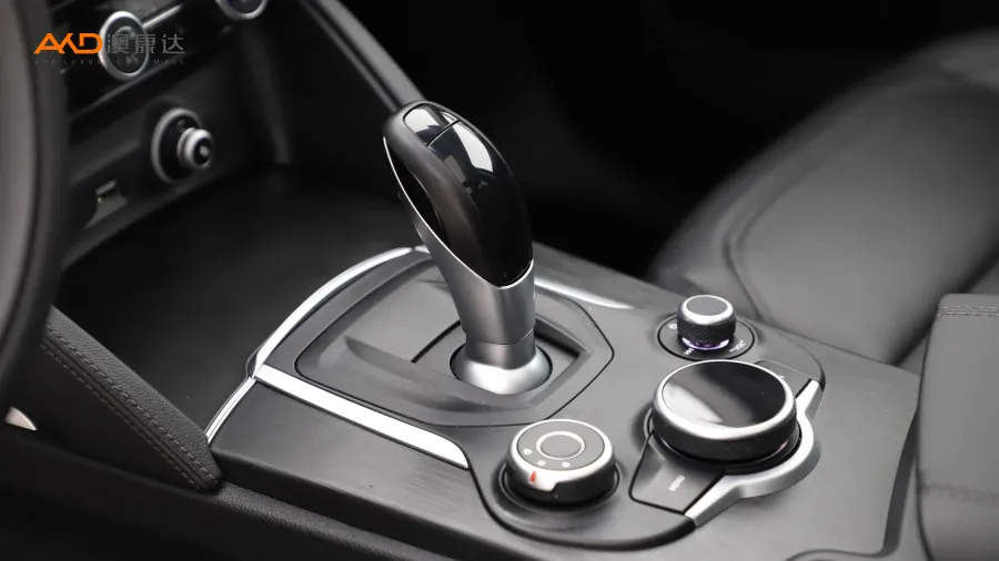 二手阿尔法·罗密欧Stelvio  2.0T 280HP豪华版图片3795982