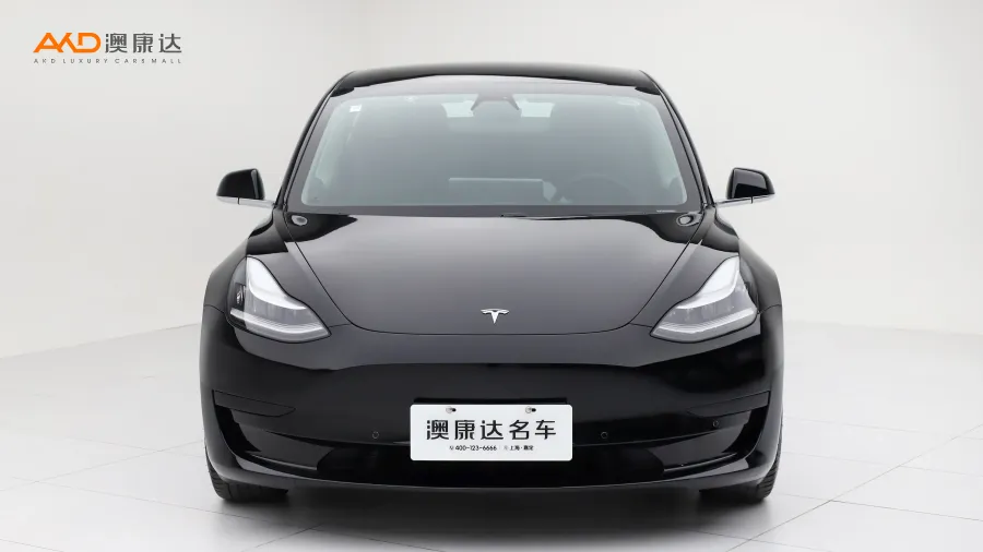 二手特斯拉Model 3 标准续航后驱升级版图片3795661