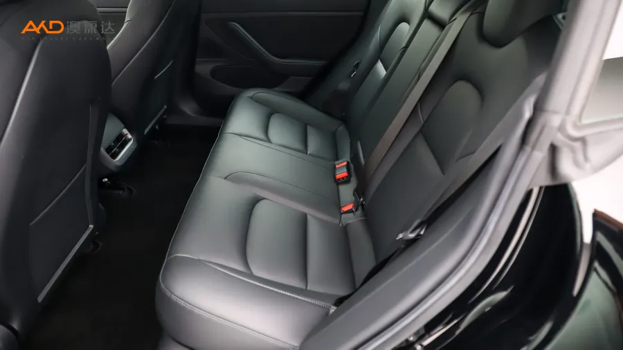 二手特斯拉Model 3 标准续航后驱升级版图片3795622