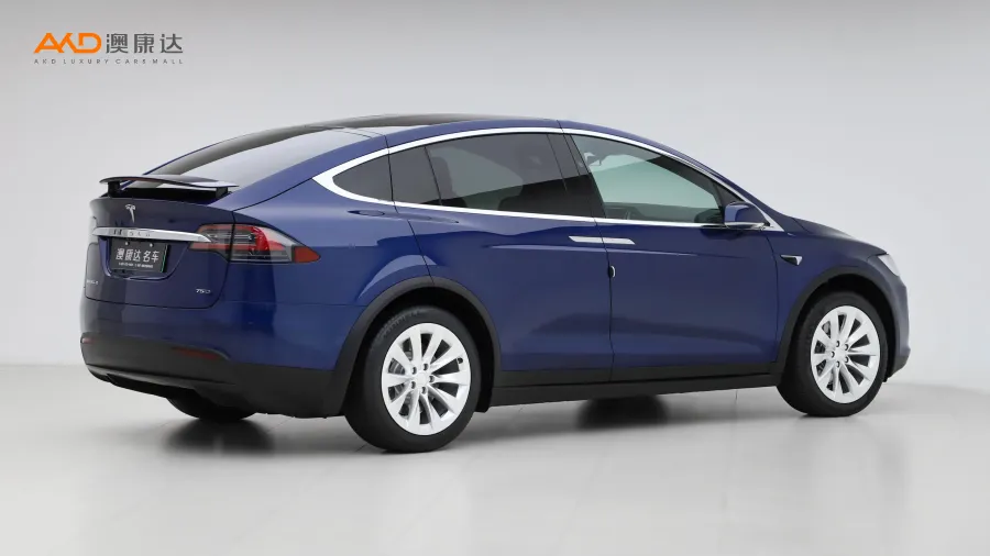 二手特斯拉 Model X 75D图片3797507