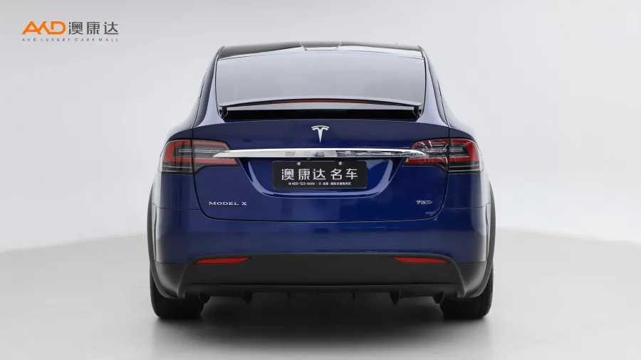二手特斯拉 Model X 75D图片3797509
