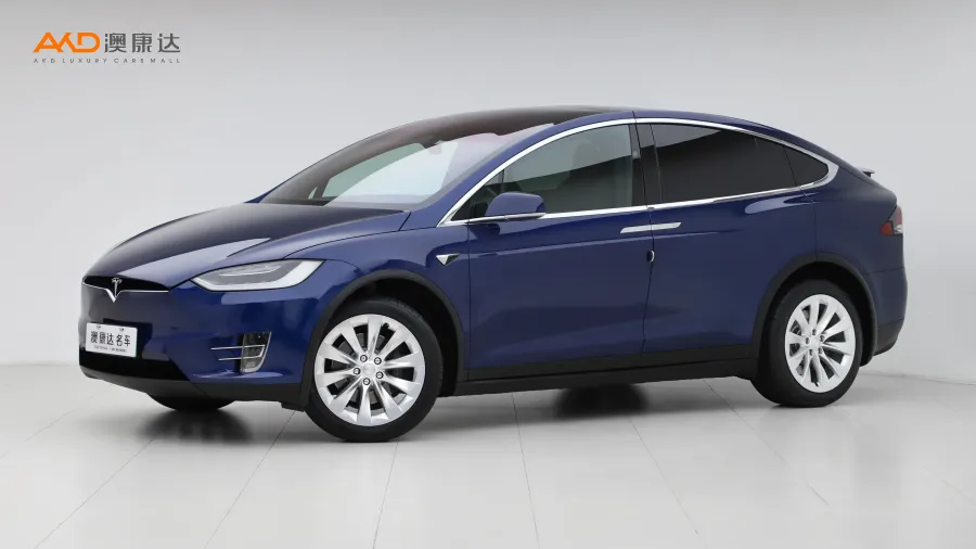 二手特斯拉 Model X 75D图片