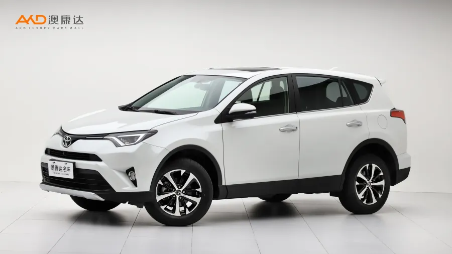 二手RAV4荣放 两驱智尚版图片