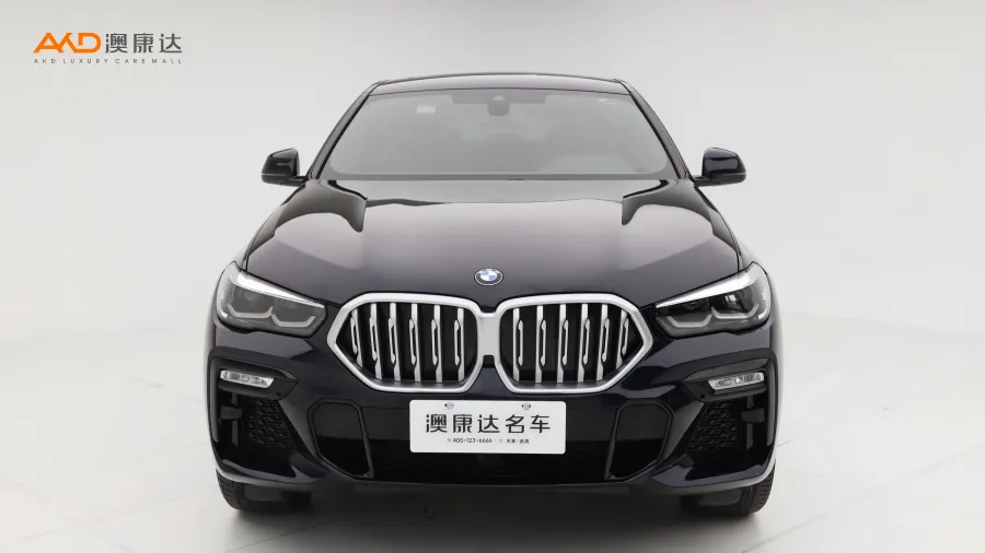 二手宝马X6 xDrive30i M运动套装图片3799366