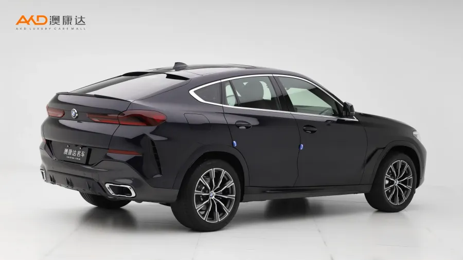 二手宝马X6 xDrive30i M运动套装图片3799373