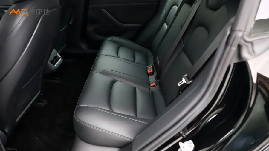 二手特斯拉Model 3 标准续航后驱升级版图片3801094