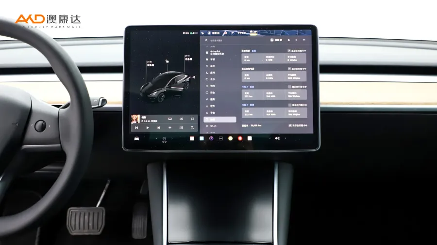 二手特斯拉Model 3 标准续航后驱升级版图片3801098