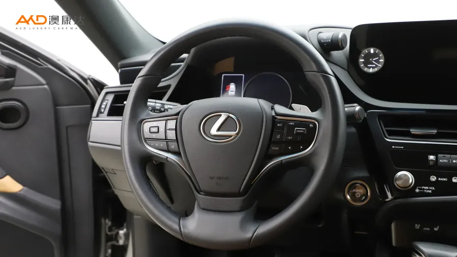 二手雷克萨斯 ES300h 臻享版图片3800505