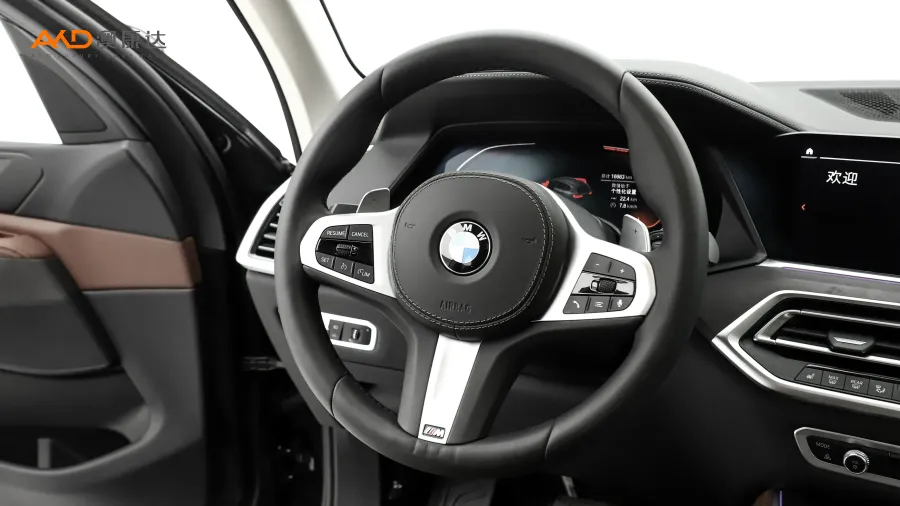 二手宝马X5 xDrive30i M运动套装图片3801860