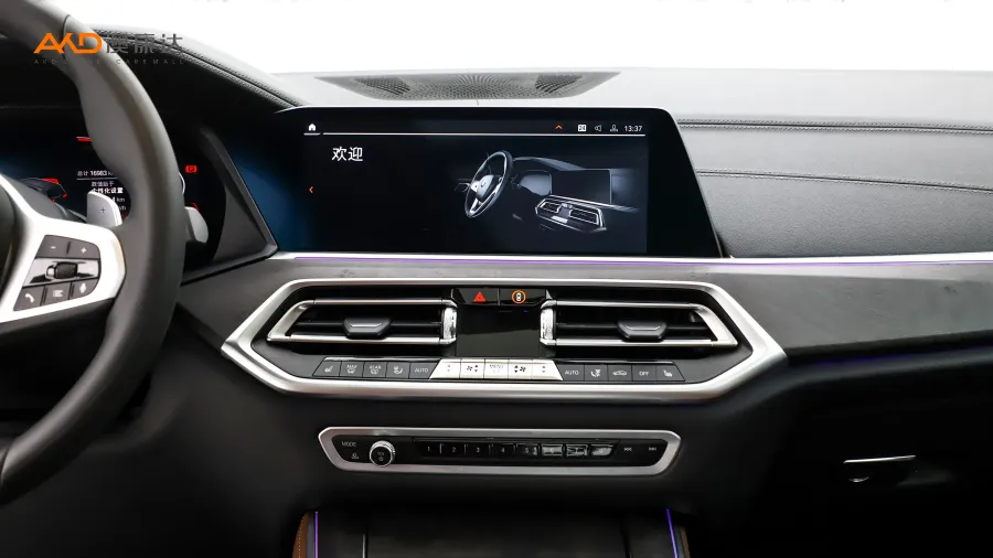 二手宝马X5 xDrive30i M运动套装图片3801858