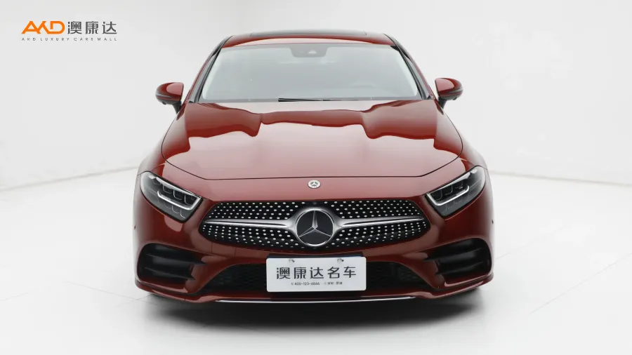 二手奔驰CLS300  豪华型图片3804361