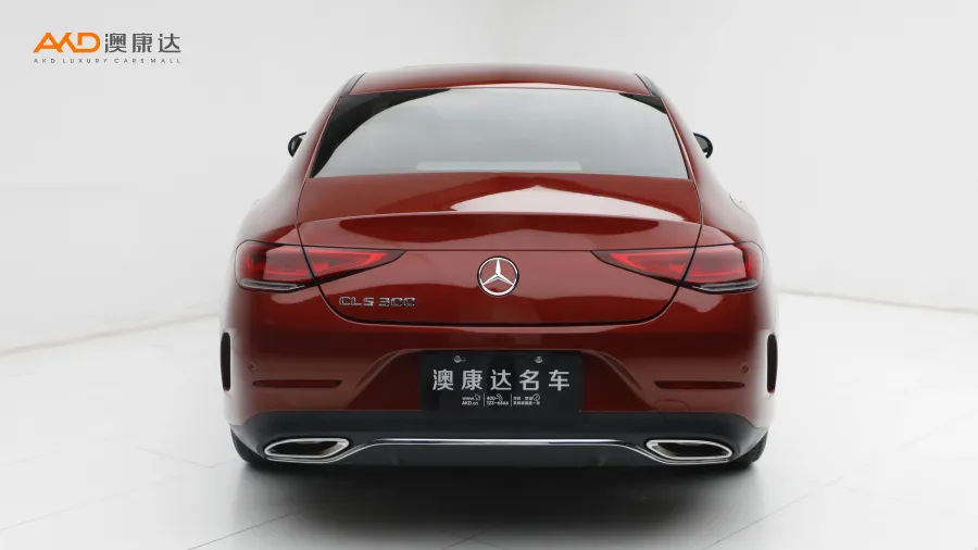 二手奔驰CLS300  豪华型图片3804366