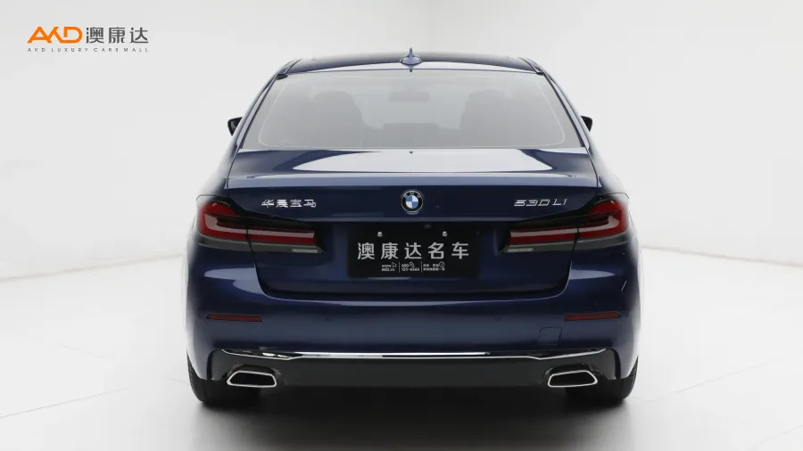 二手宝马530Li 尊享型 豪华套装图片3804172