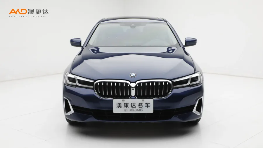 二手宝马530Li 尊享型 豪华套装图片3804167