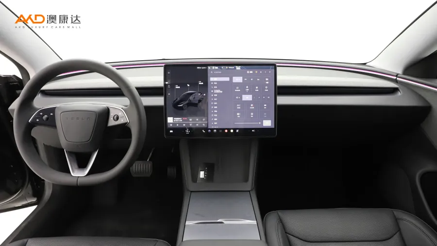 二手特斯拉Model 3 后轮驱动版图片3803477