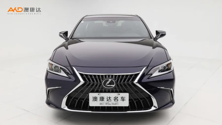 二手雷克萨斯ES200  卓越版图片3804666