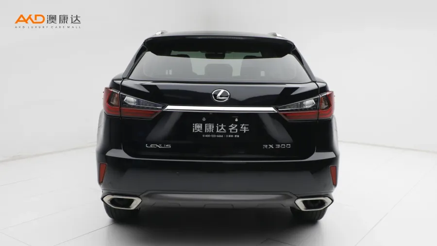 二手雷克萨斯RX300  两驱舒适版图片3807546