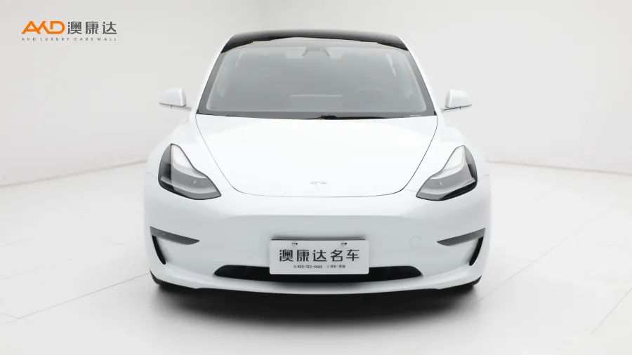 二手特斯拉Model 3 改款长续航后轮驱动版图片3808732
