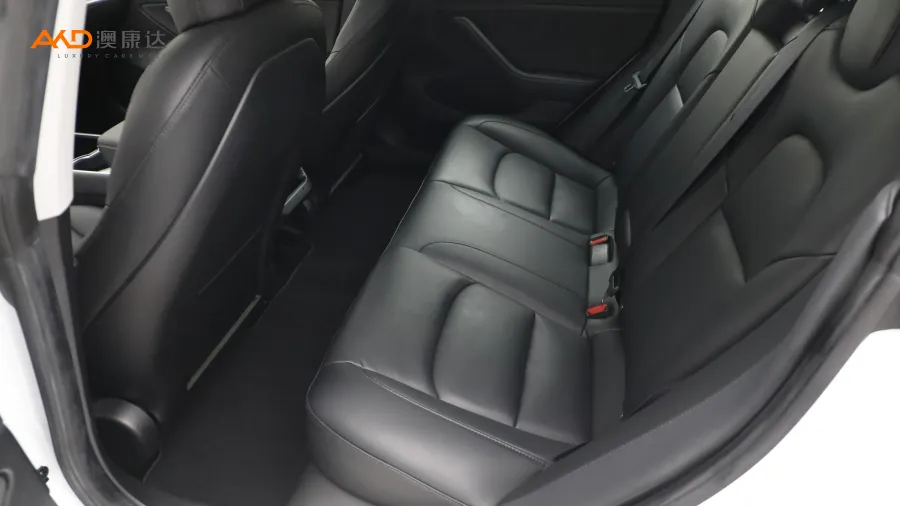 二手特斯拉Model 3 改款长续航后轮驱动版图片3808759