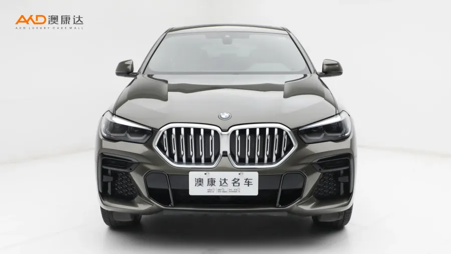 二手宝马X6 xDrive30i M运动套装图片3810556